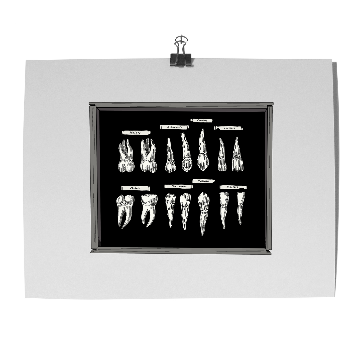 'Collection' Print