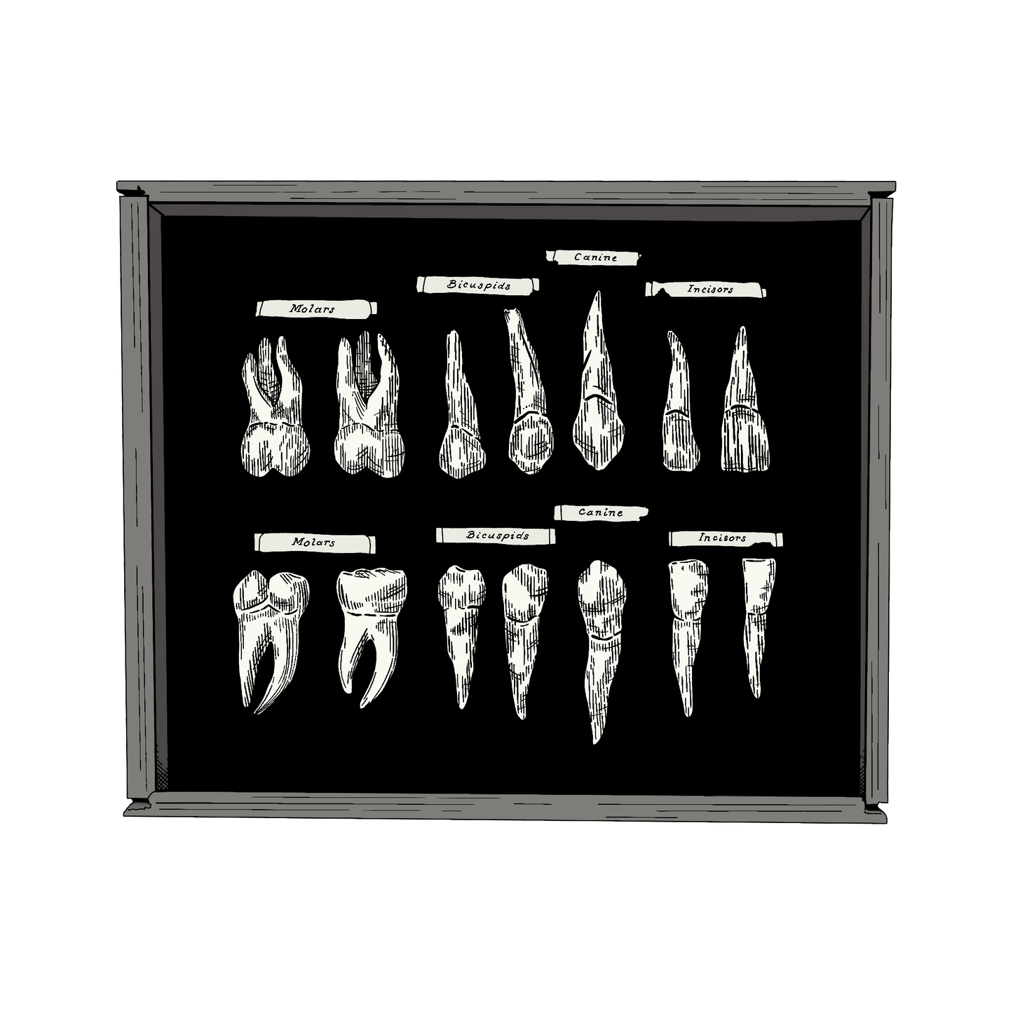 'Collection' Print