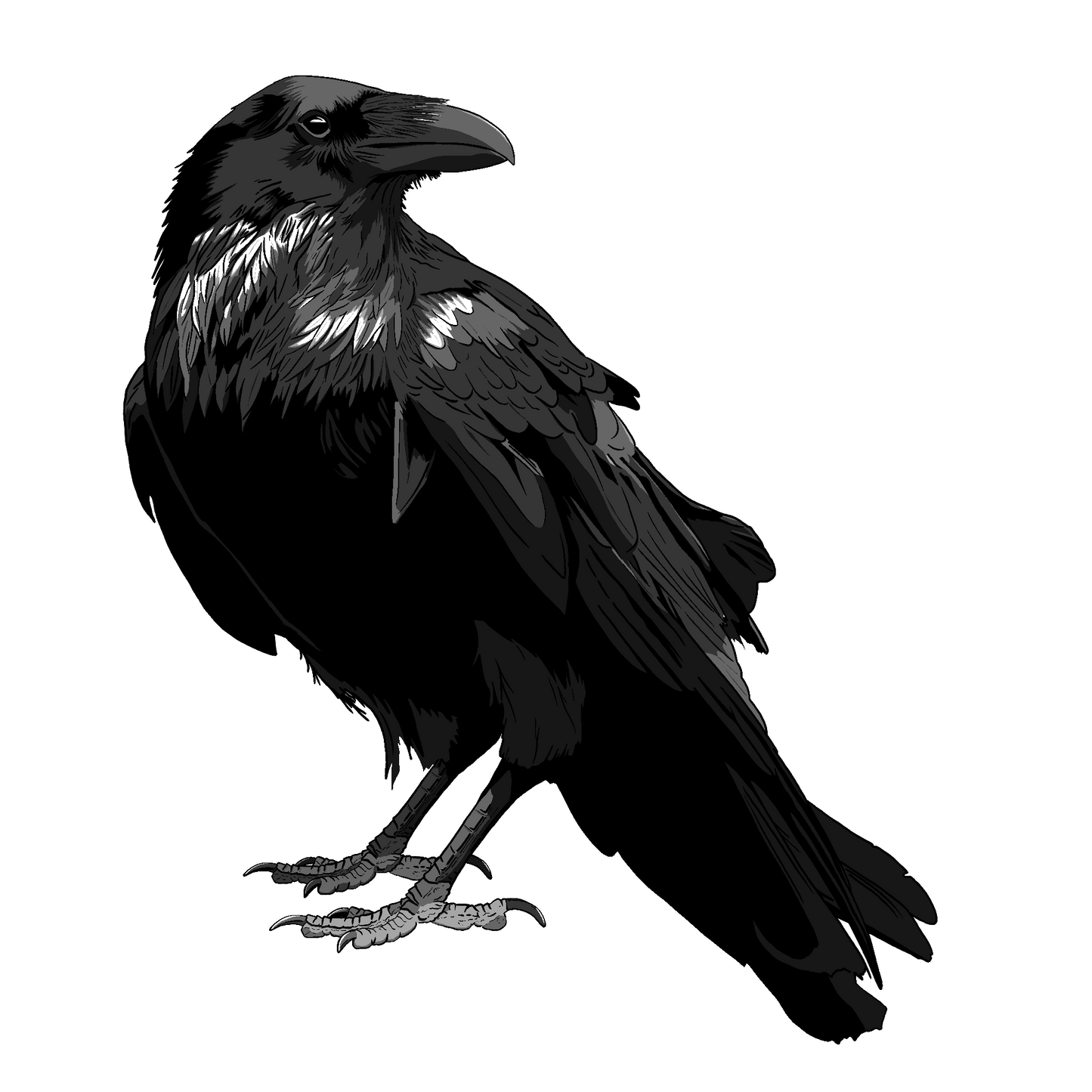 'Raven' Print