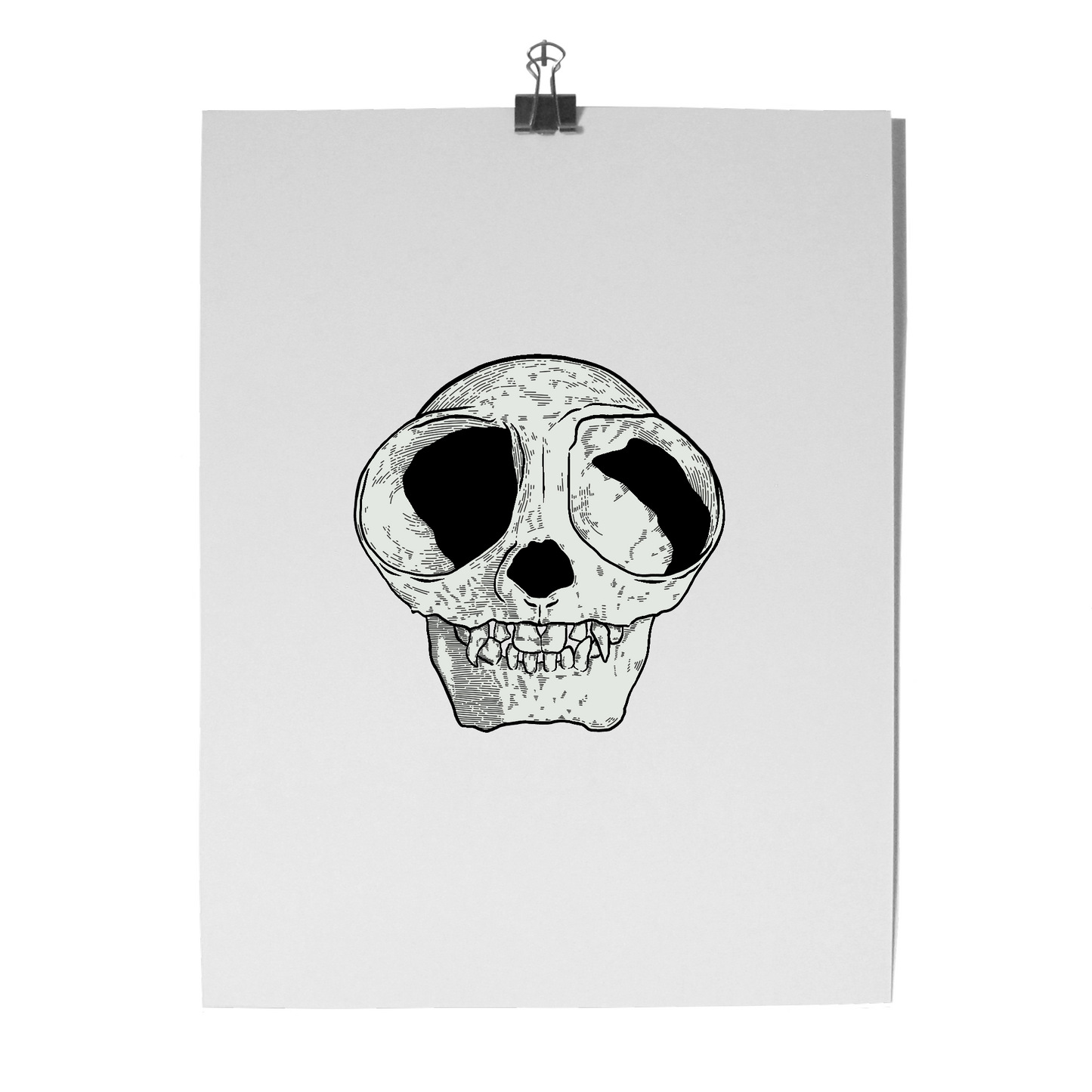 'Monkey Skull' Print