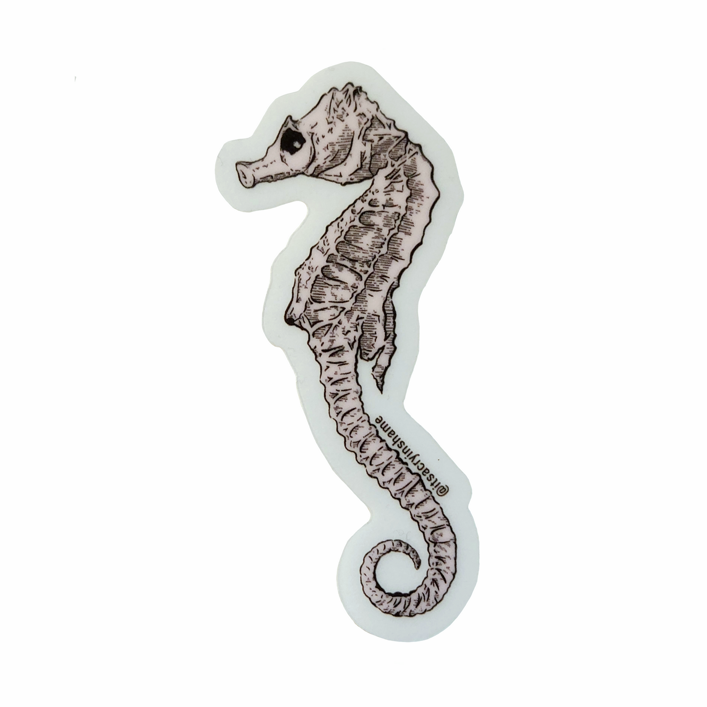 'Seahorse' Sticker